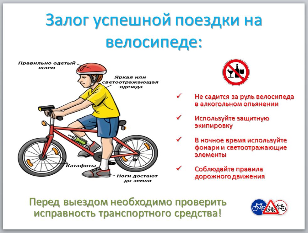 Залог успешной поездки велик.jpg